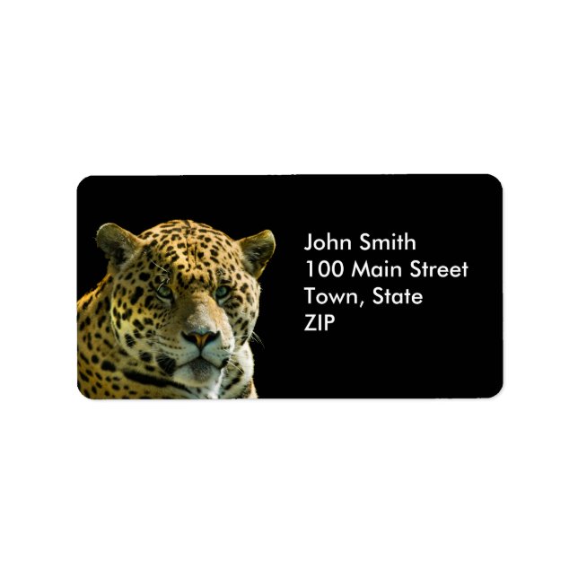 Jaguar Labels (Front)