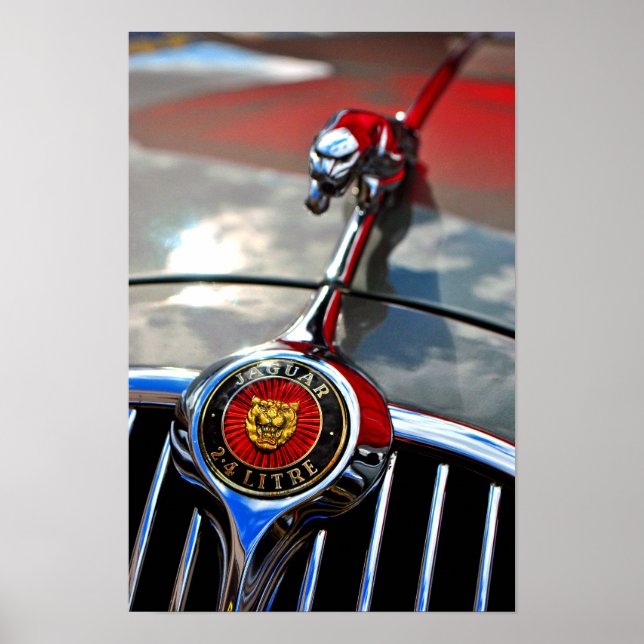 Jaguar Leaper Leaping Cat Poster (Front)