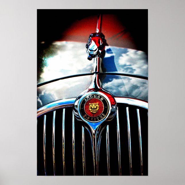 Jaguar Leaper Leaping Cat Poster (Front)