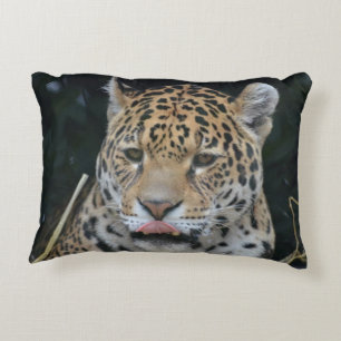 Jaguar Licking His Lips Decorative Cushion