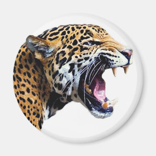 jaguar magnet