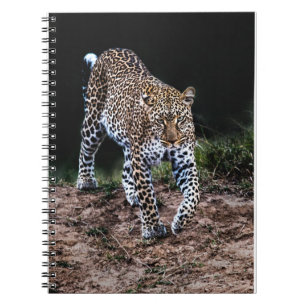 Jaguar Notebook