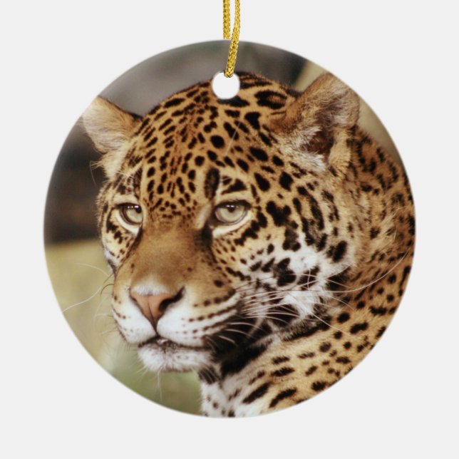 Jaguar Ornament (Front)
