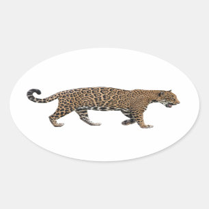 Jaguar Oval Sticker