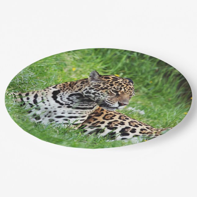 Jaguar Paper Plate (Angled)