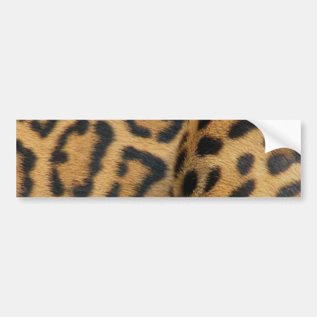 Jaguar Pattern Bumper Sticker (Front)