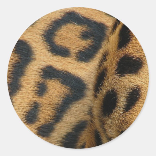 Jaguar Pattern Stickers (Front)
