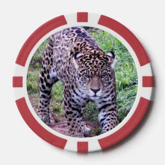 Jaguar Poker Chips