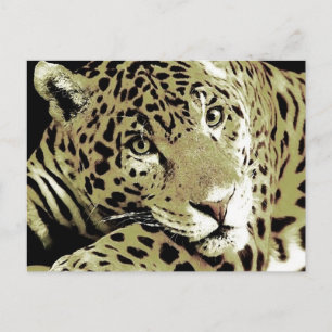 Jaguar Postcard