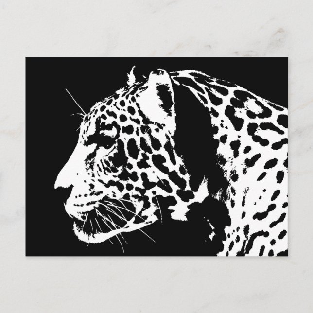 Jaguar Postcard (Front)