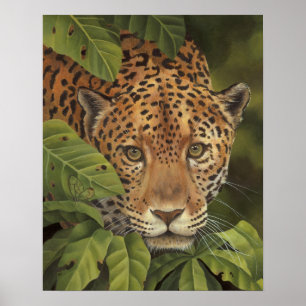 Jaguar Poster