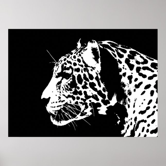 Jaguar Poster Print - Jaguar Posters (Front)