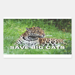 Jaguar Rectangular Sticker
