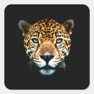 Jaguar Square Sticker