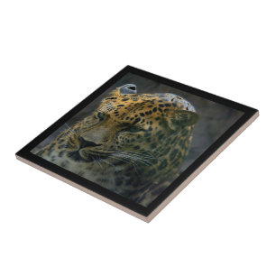 Jaguar Tile