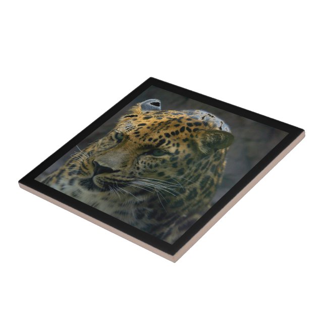 Jaguar Tile (Side)