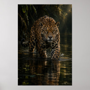 Jaguar Walking Through Dark Jungle Water Wildlife  Poster