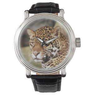 Jaguar Watch