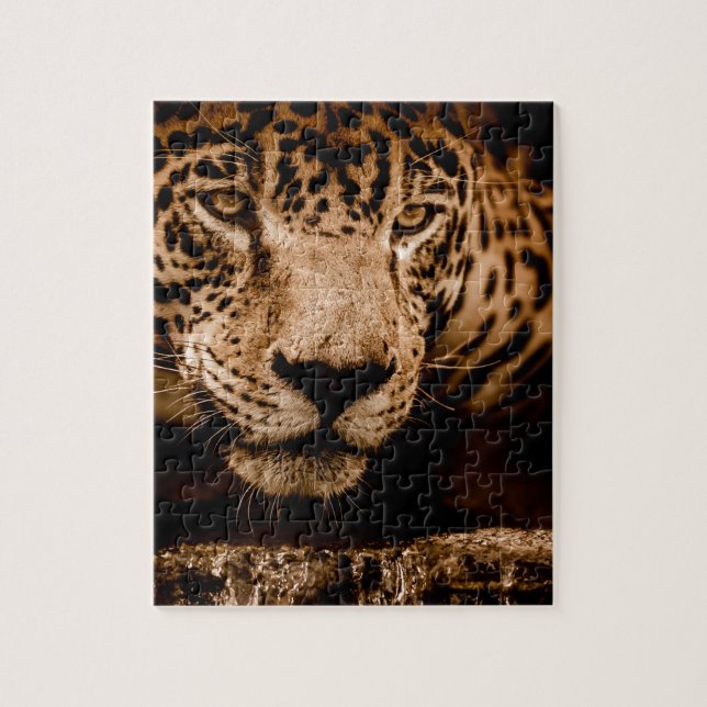 jaguar water stalking eyes jigsaw puzzle (Vertical)