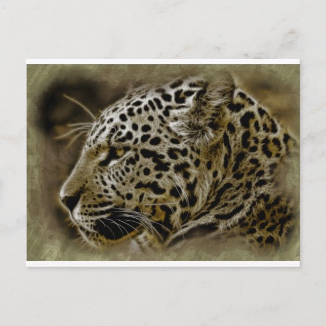 Jaguar Wild Cat Spots African Safari Destiny Postcard (Front)