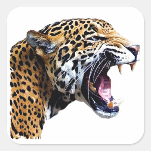 Jaguar - Wild Cat Square Sticker