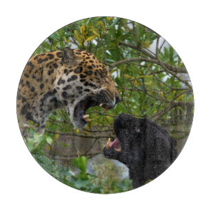 Jaguars In Love Cutting Board