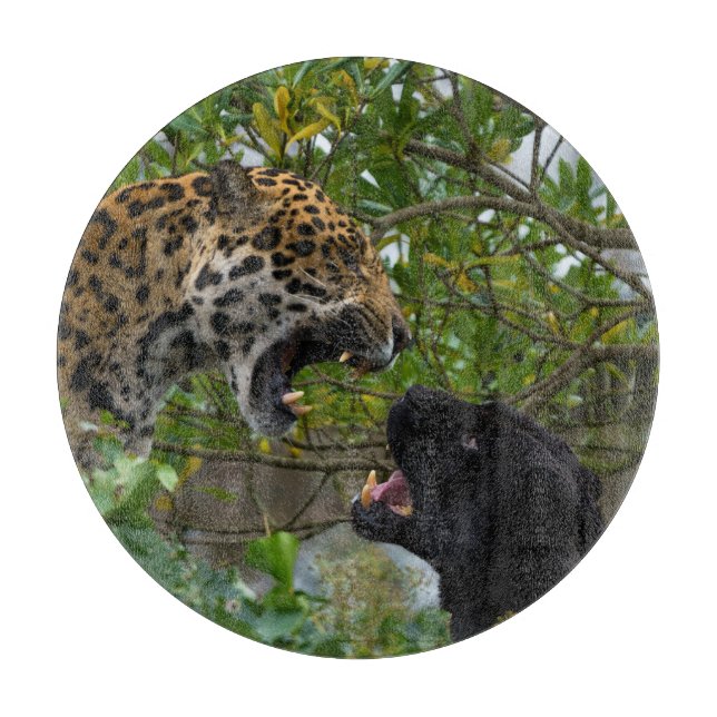 Jaguars In Love Cutting Board (Front)