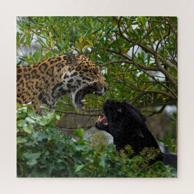 Jaguars In Love Jigsaw Puzzle (Vertical)