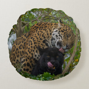 Jaguars In Love Round Cushion