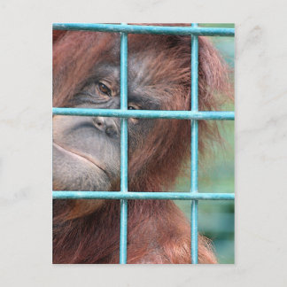 Jail Postcard