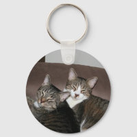jaime cats