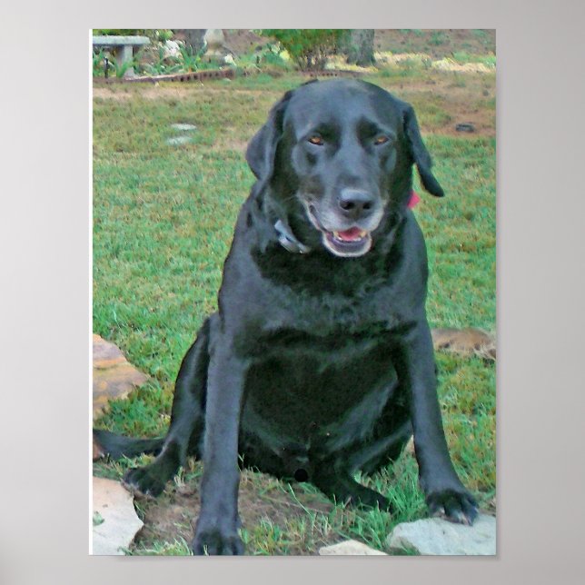 Jake Smiles Poster (Front)