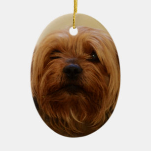 Jake The Yorkie Terrier Ceramic Tree Decoration