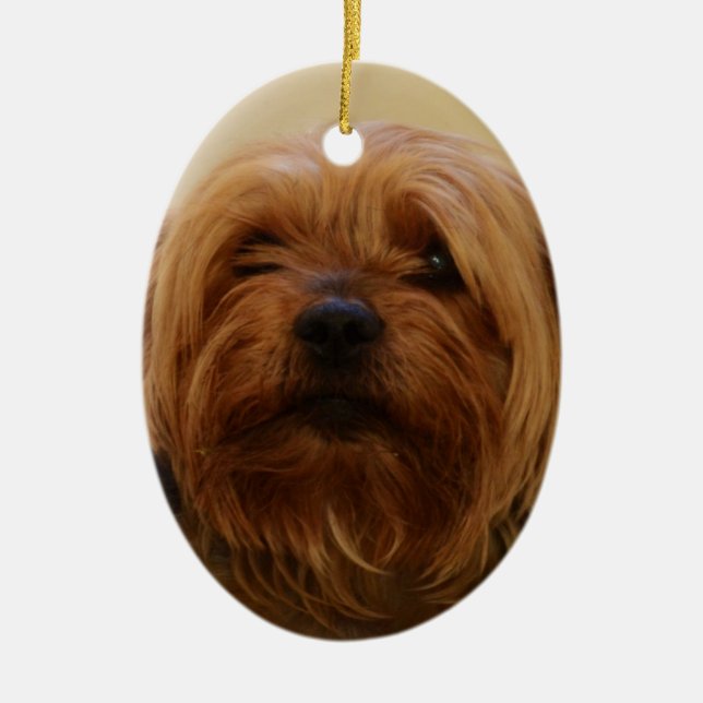 Jake The Yorkie Terrier Ceramic Tree Decoration (Front)