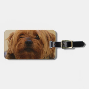 Jake The Yorkie Terrier Luggage Tag