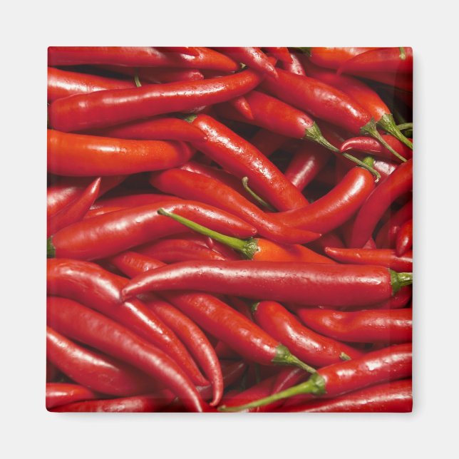 Jalapenos Magnet (Front)
