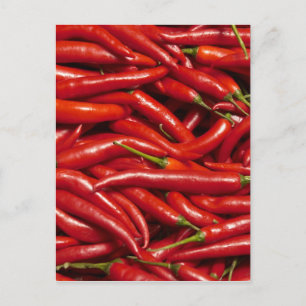 Jalapenos Postcard
