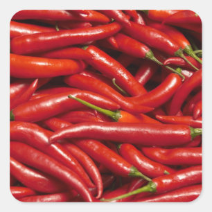 Jalapenos Square Sticker