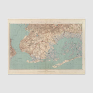 Jamaica Bay and Brooklyn Tissue Paper