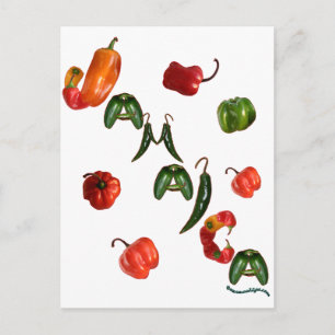 Jamaica Chilli Peppers Postcard