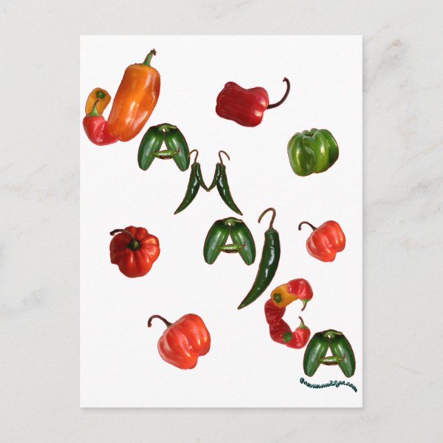 Jamaica Chilli Peppers Postcard (Front)