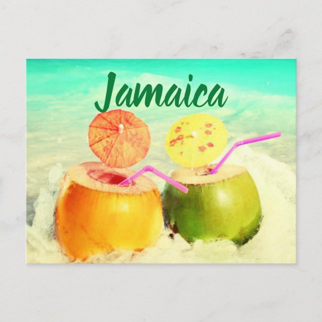 Jamaica coconuts postcard (Front)