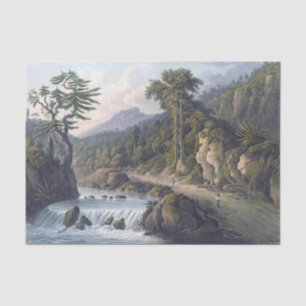 Jamaica Rio Cobre St. Thomas Parish Tissue Paper