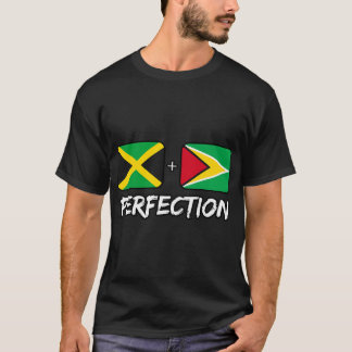 Jamaican And Guyanese Perfection Mix DNA Flag Heri T-Shirt