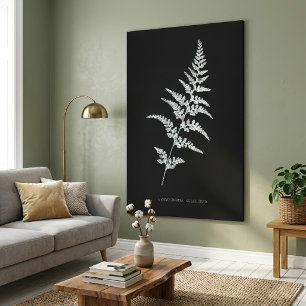 Jamaican Goldback Fern, Gymnogramma Sulphurea Canvas Print