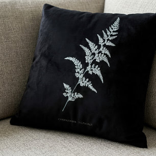 Jamaican Goldback Fern, Gymnogramma Sulphurea Cushion