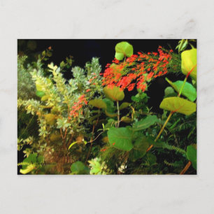 Jamaican Night Garden Postcard