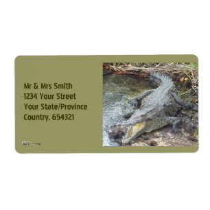 Jamaican Salt Water Crocodile