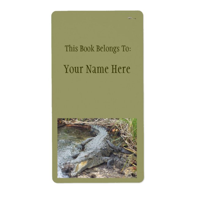 Jamaican Salt Water Crocodile (Front)