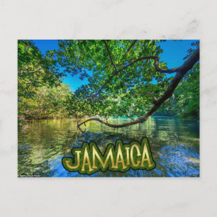Jamaica's Blue Lagoon, Port Antonio Postcard